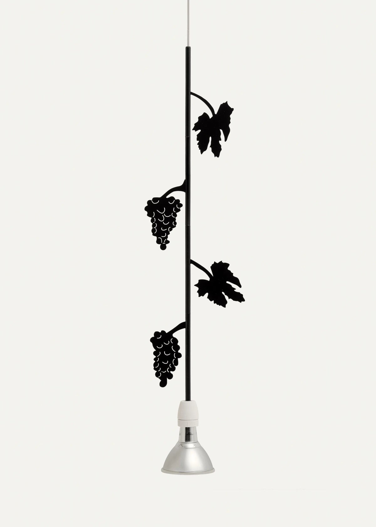 Flora e Fauna